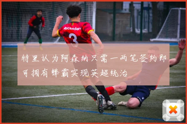 特里认为阿森纳只需一两笔签约即可拥有锋霸实现英超统治