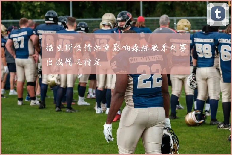 福克斯伤情加重影响森林狼系列赛出战情况待定